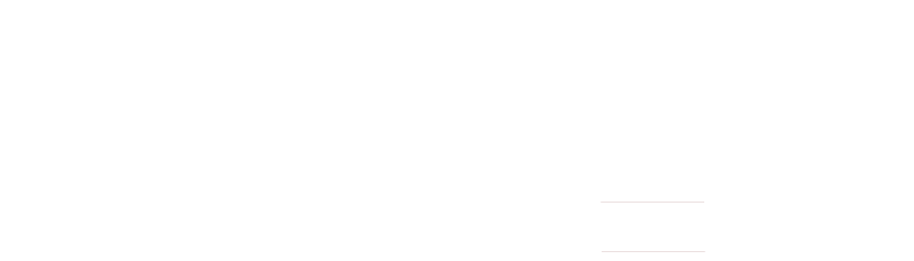 Discovering Our Past: College of Charleston Histories Logo